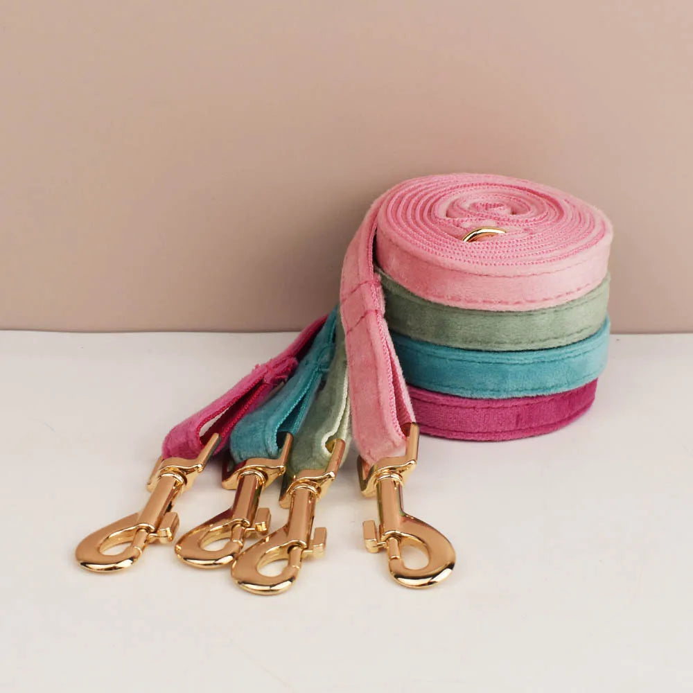 Cute Bowknot Collar Personalized