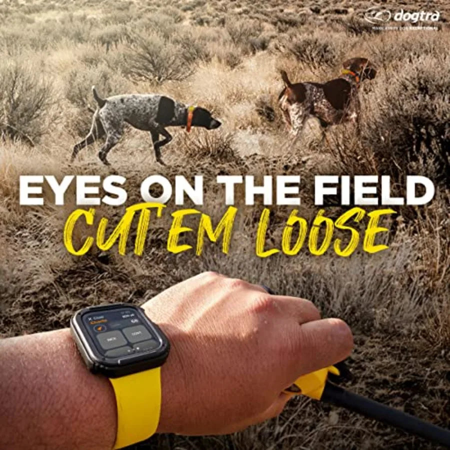 Pathfinder 2 Hunting Ecollar GPS Dog Training Collar