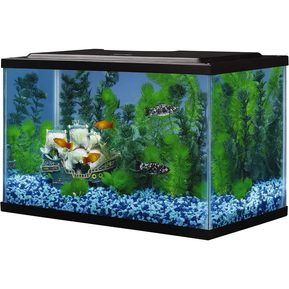 5 5 Gallon Rectangular Glass Aquarium Tank for Fish