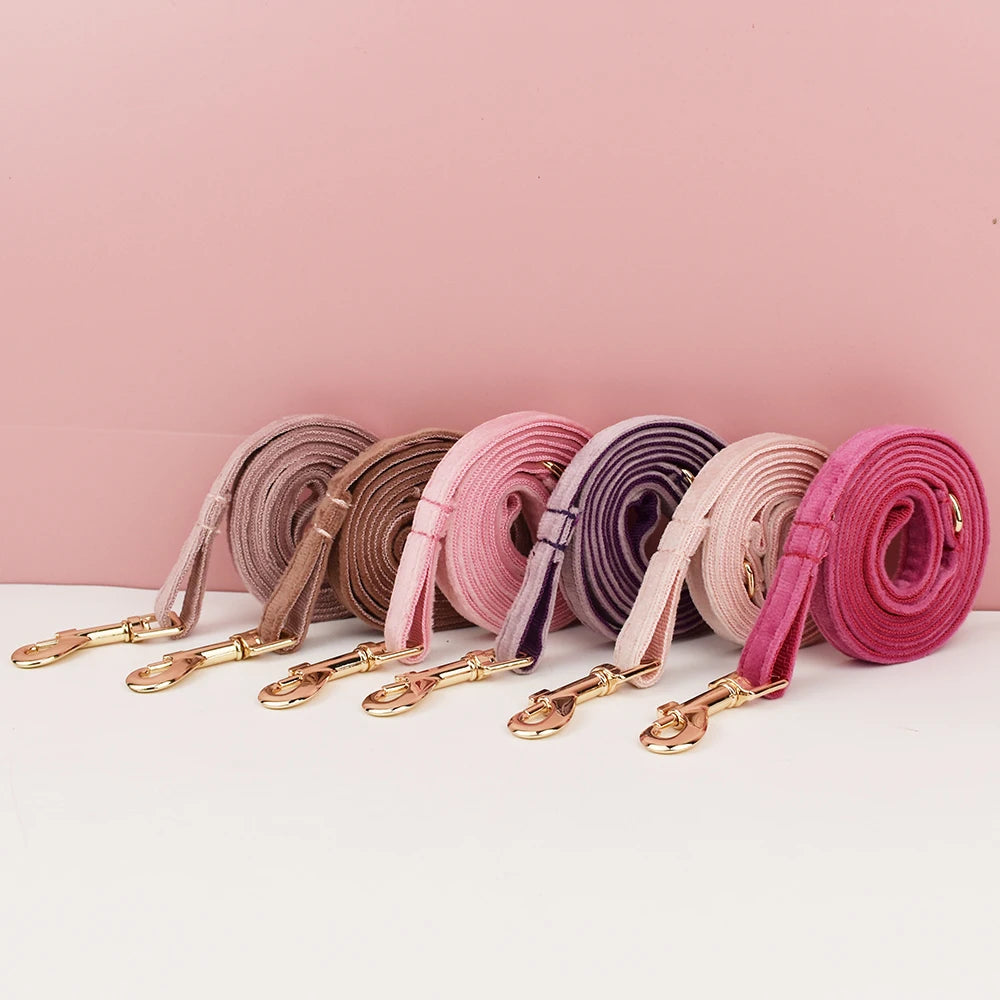 Cute Bowknot Collar Personalized