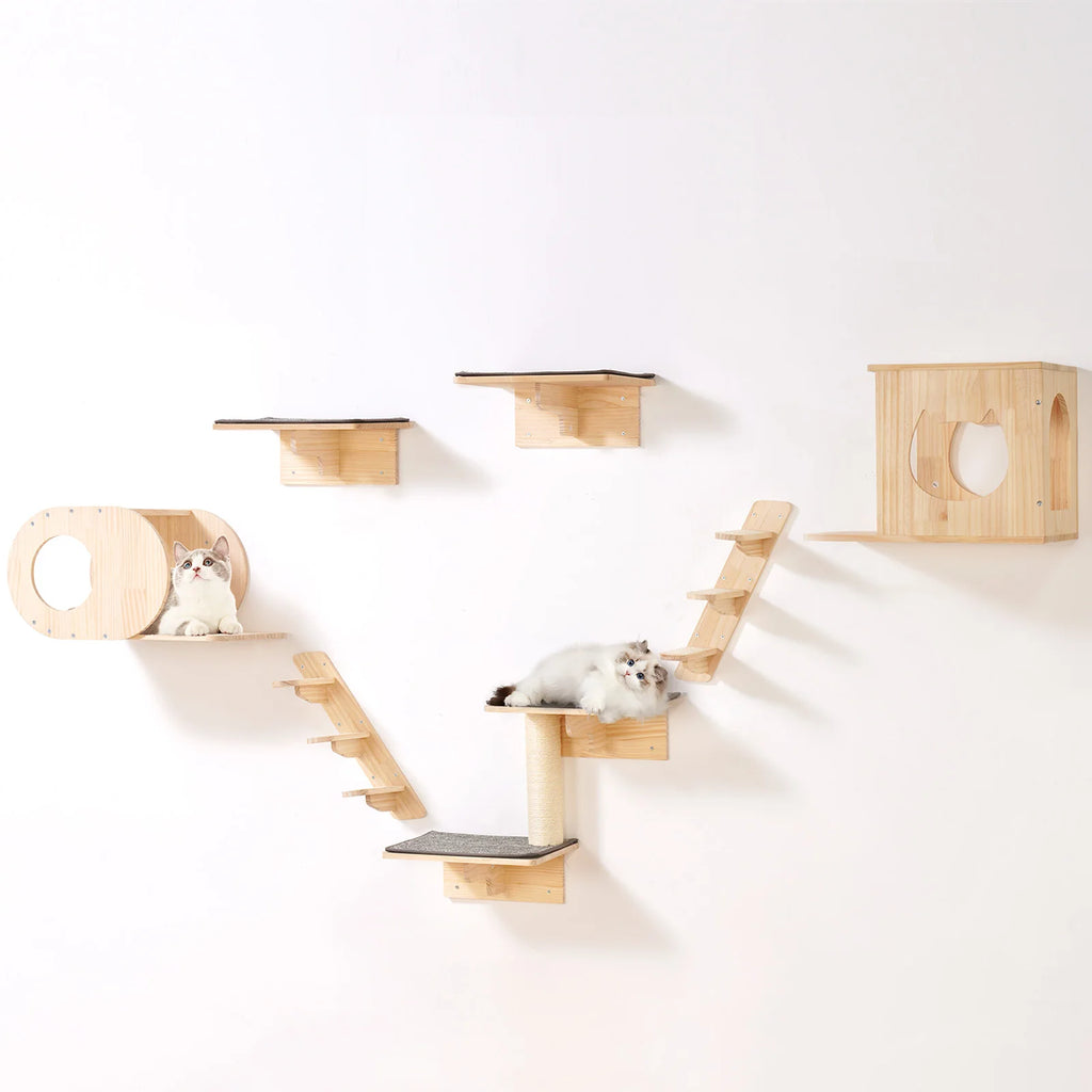 Wall Mounted Cat Shelves Cat