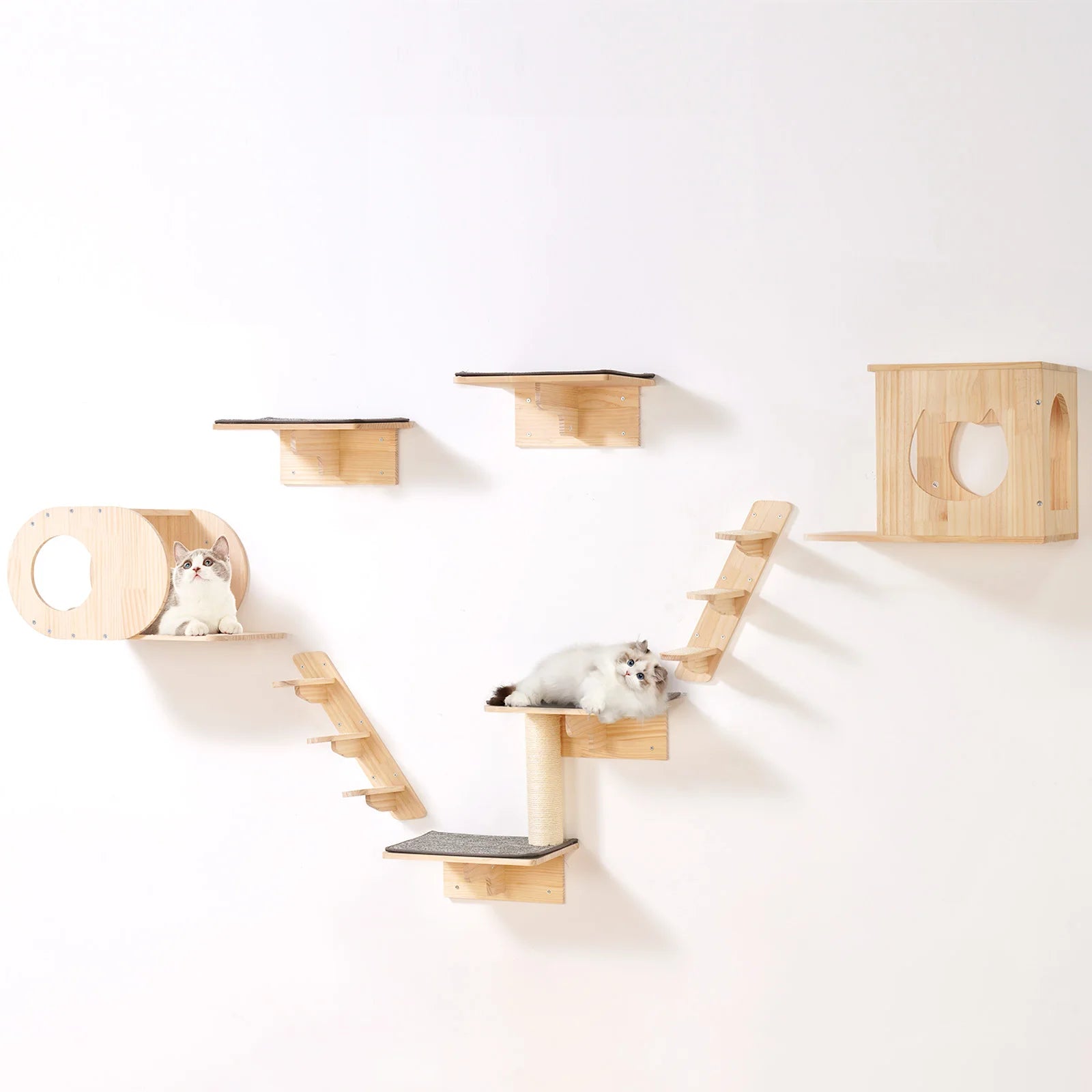 Wall Mounted Cat Shelves Cat