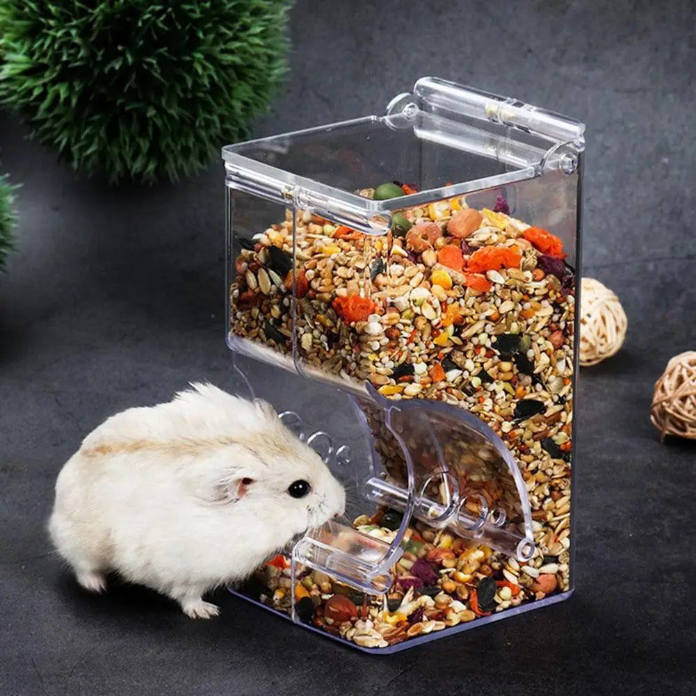 Automatic Food Bowl