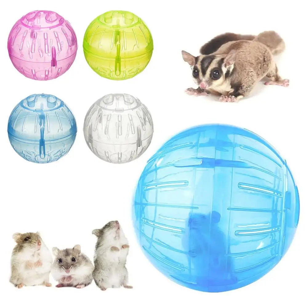 Transparent Acrylic Exercise Ball Escape Proof