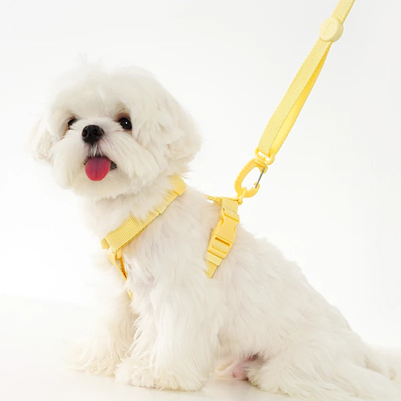 Reflective Adjustable Harness Collar Leash Set