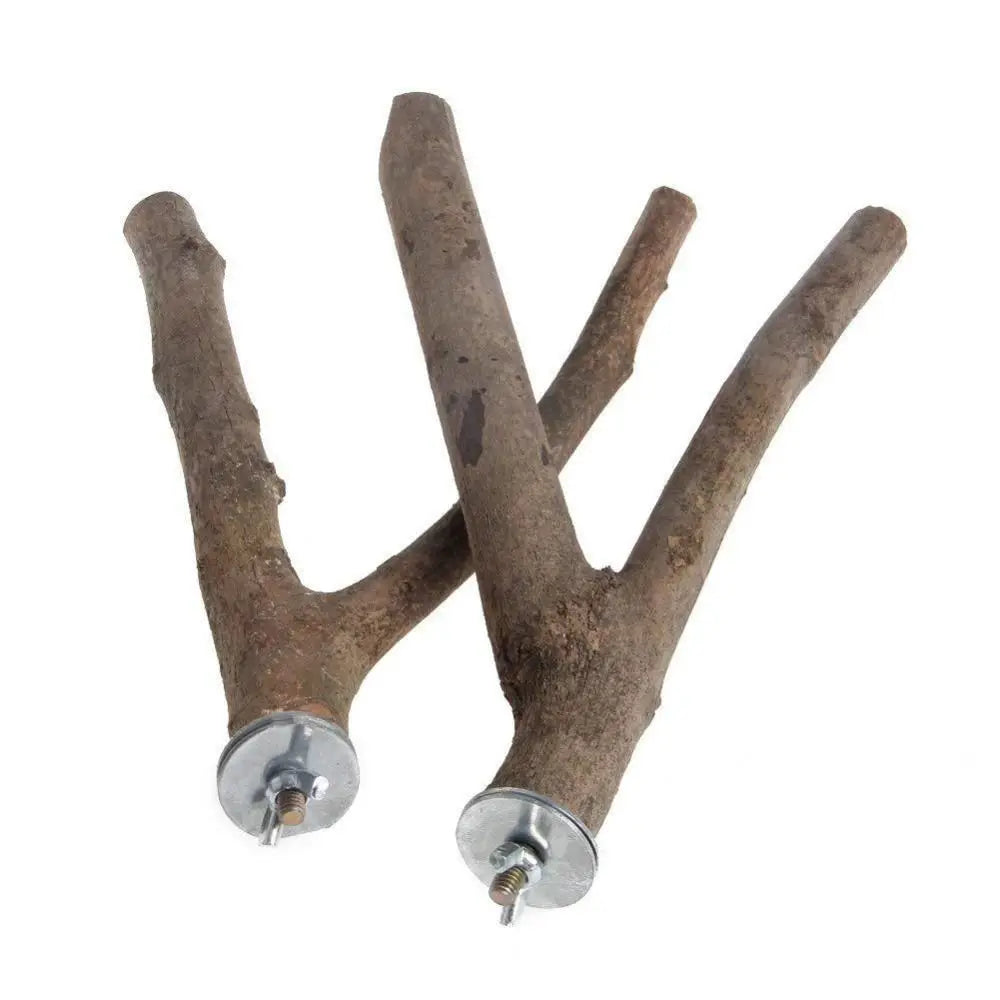Wood Bird Stand Tree Branch