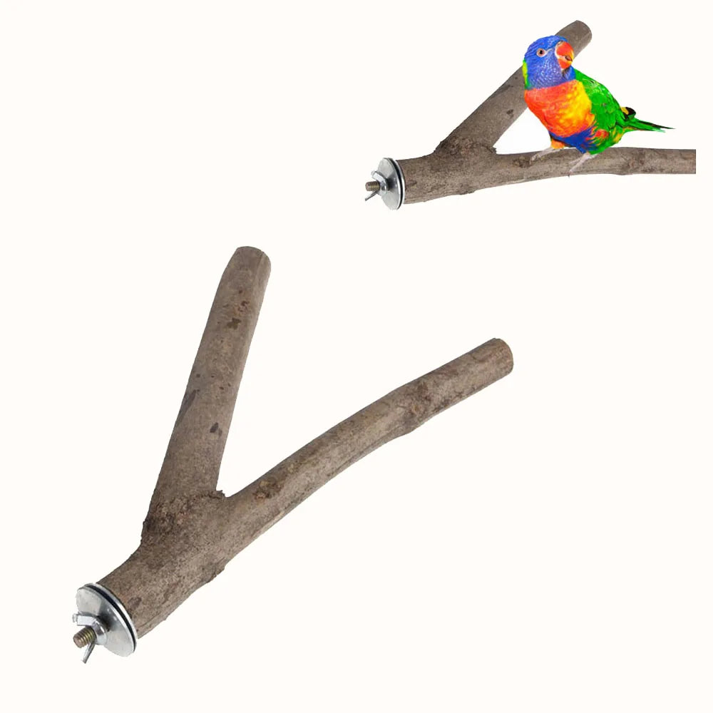 Wood Bird Stand Tree Branch