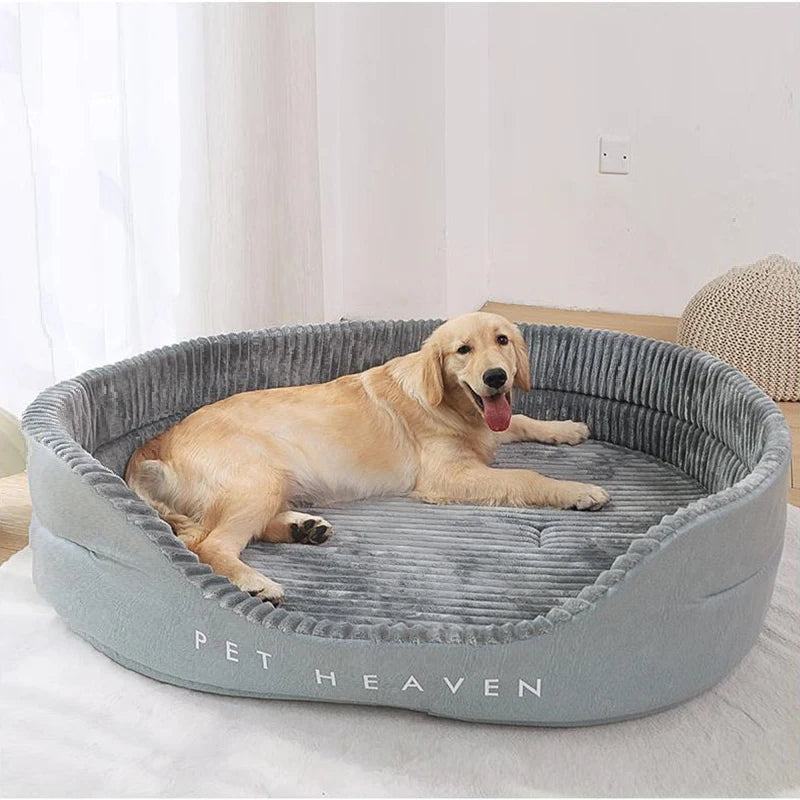 Orthopedic Dog Bed