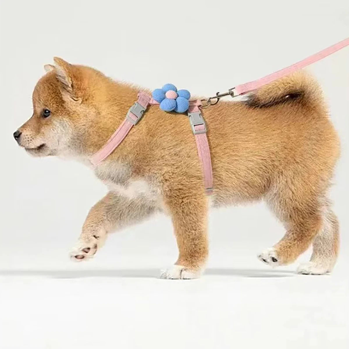 Harness and Leash Sets Adjustable