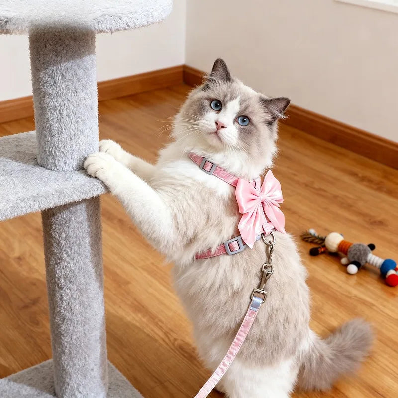 Adjustable Pet Harness with Traction Rope