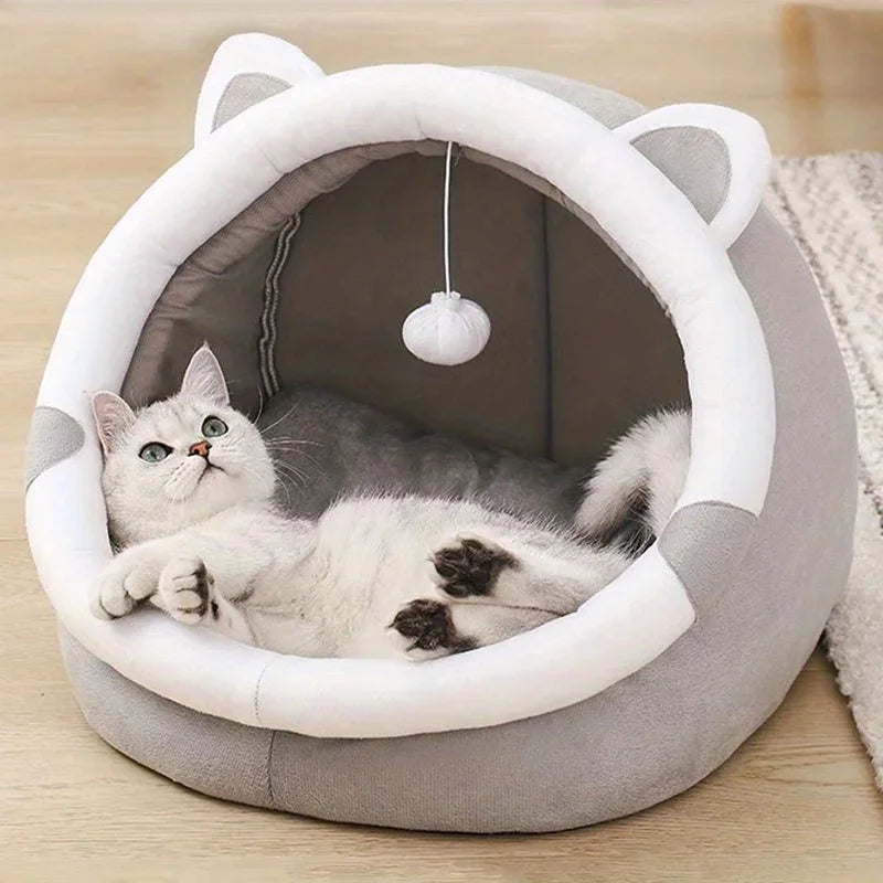 Pet House with Removable Pad