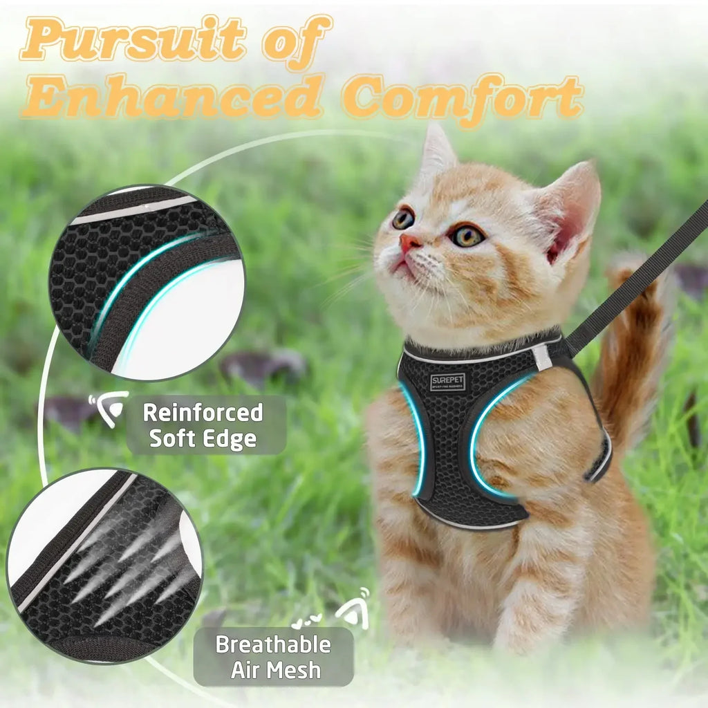 Cat Harness and Leash