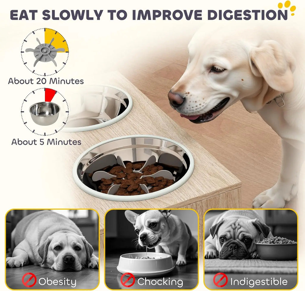 Elevated Dog Bowls with Storage Cabinet