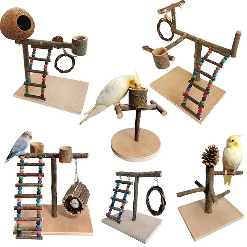Solid Wood Parrot Training Bird Stand