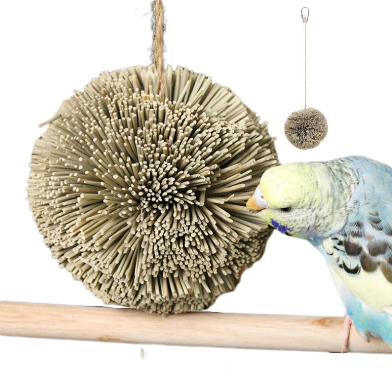 Hanging Chewing Toy, Shred Foraging