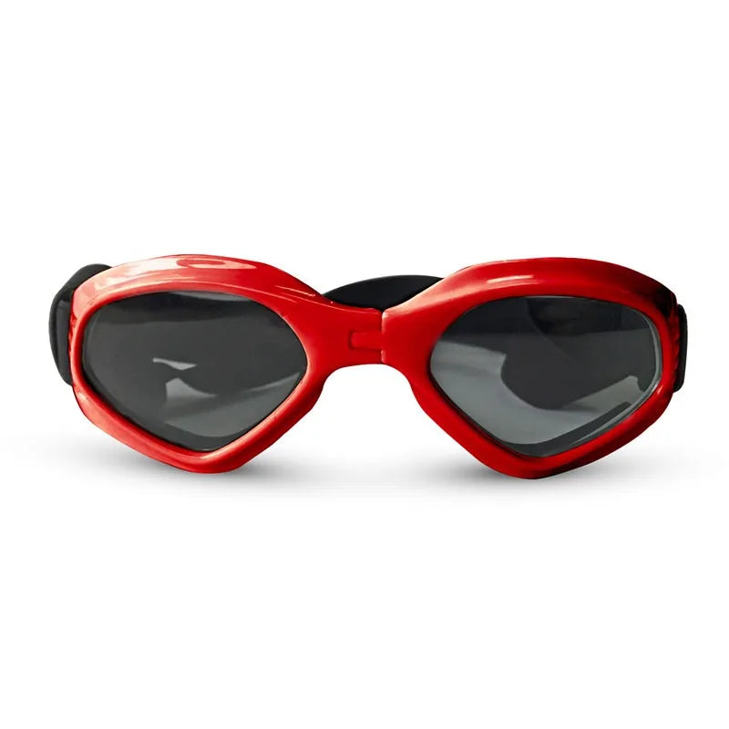 Pet Sunglasses
