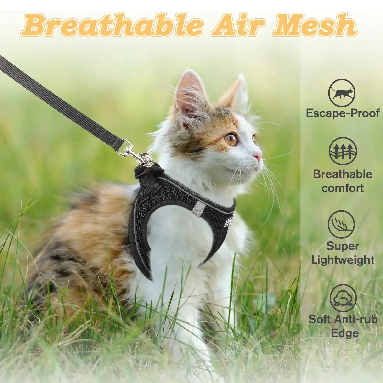 Cat Harness and Leash