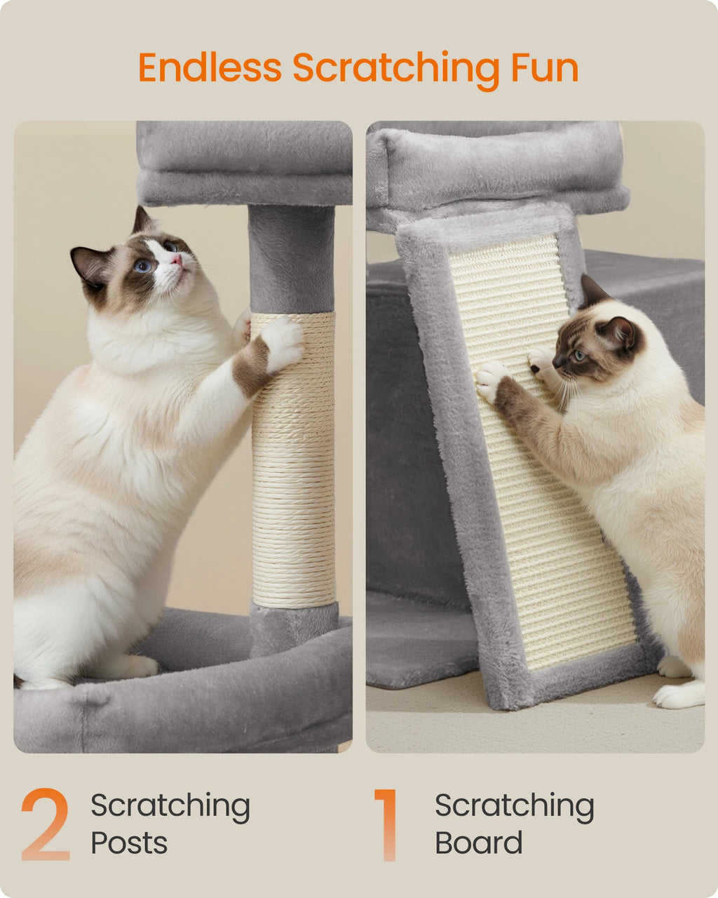 Cat Tower Condo