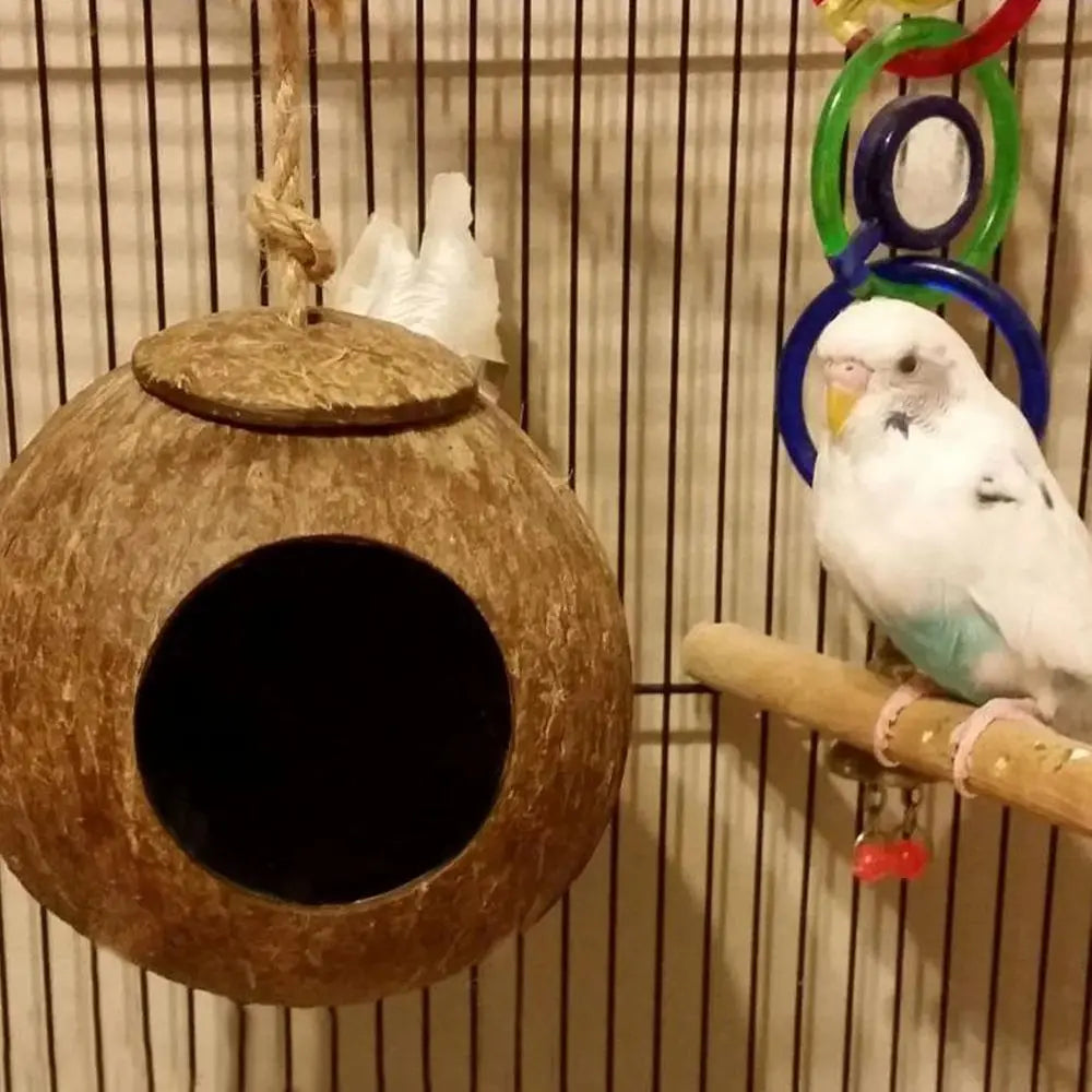 Coconut Shell Bird Nest