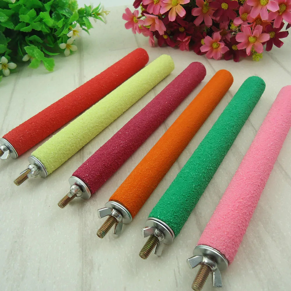 Bird Claw Beak Grinding Bar