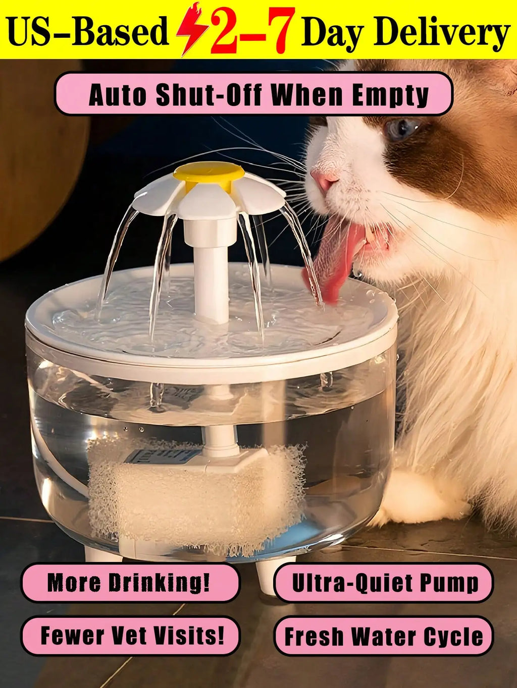 Water Fountain