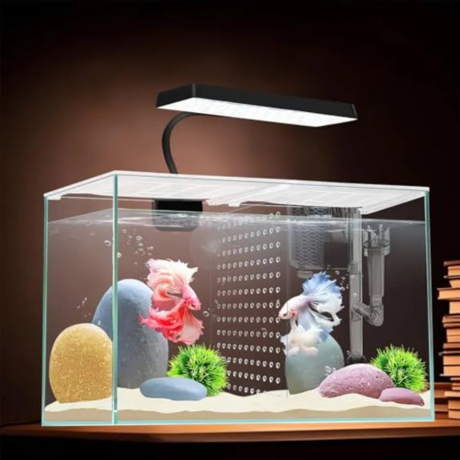3 Gallon 12.6" L Fish Nano Glass Aquarium with Separator Plate for Betta Multi-Functional Square Fish Tank with Filter LED Ligh