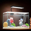 3 Gallon 12.6" L Fish Nano Glass Aquarium with Separator Plate for Betta Multi-Functional Square Fish Tank with Filter LED Ligh