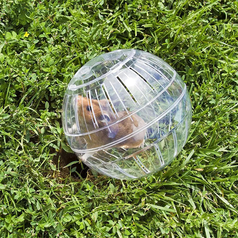 Transparent Acrylic Exercise Ball Escape Proof