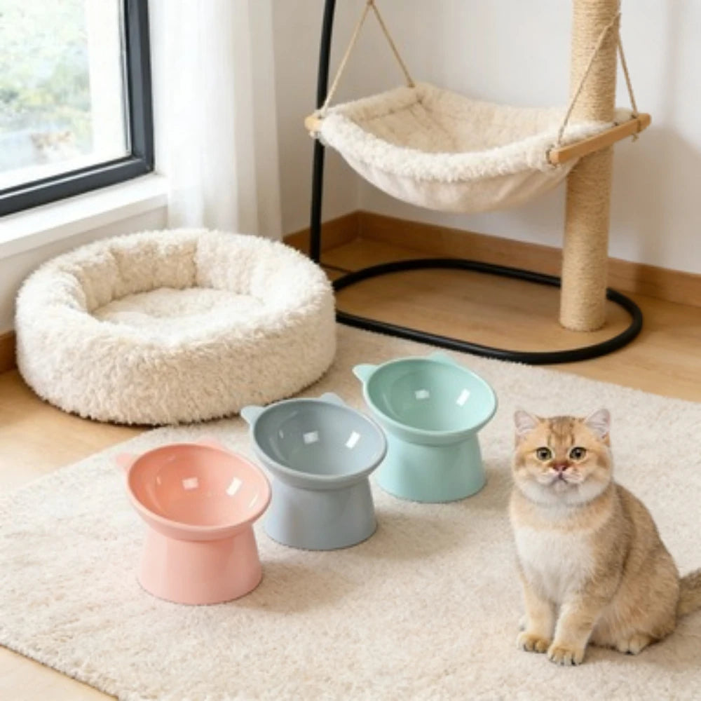 Raised Food Bowl