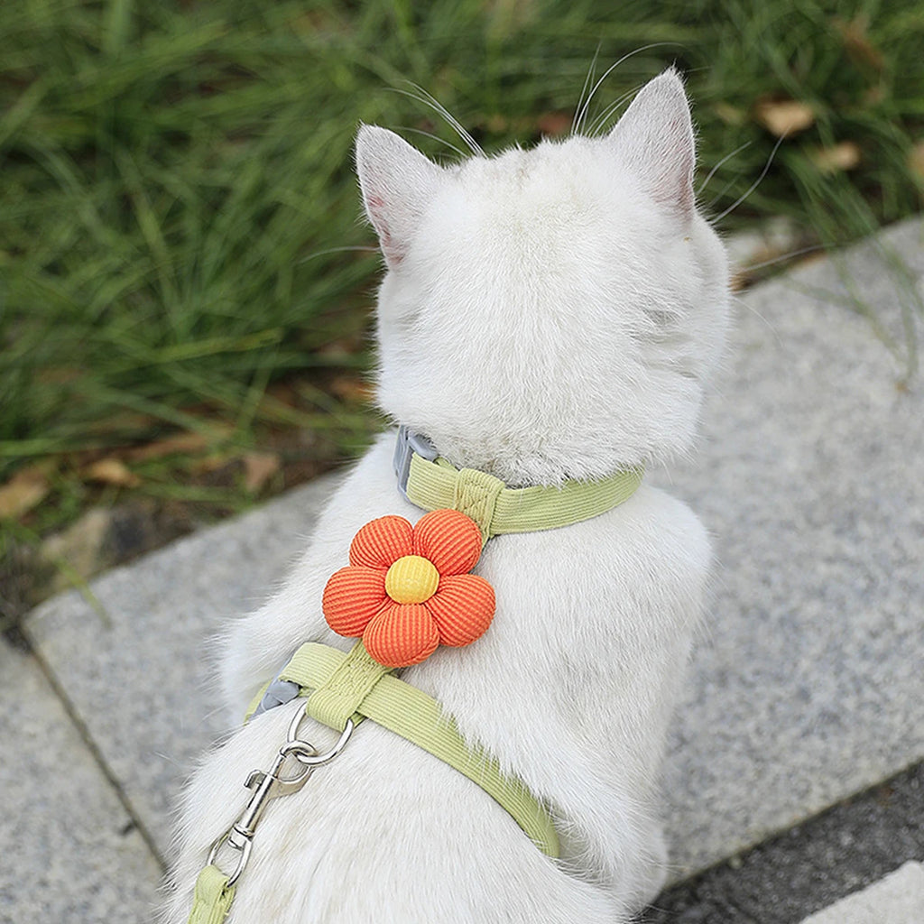 Harness and Leash Sets Adjustable
