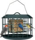 Squirrel Proof Suet Feeder