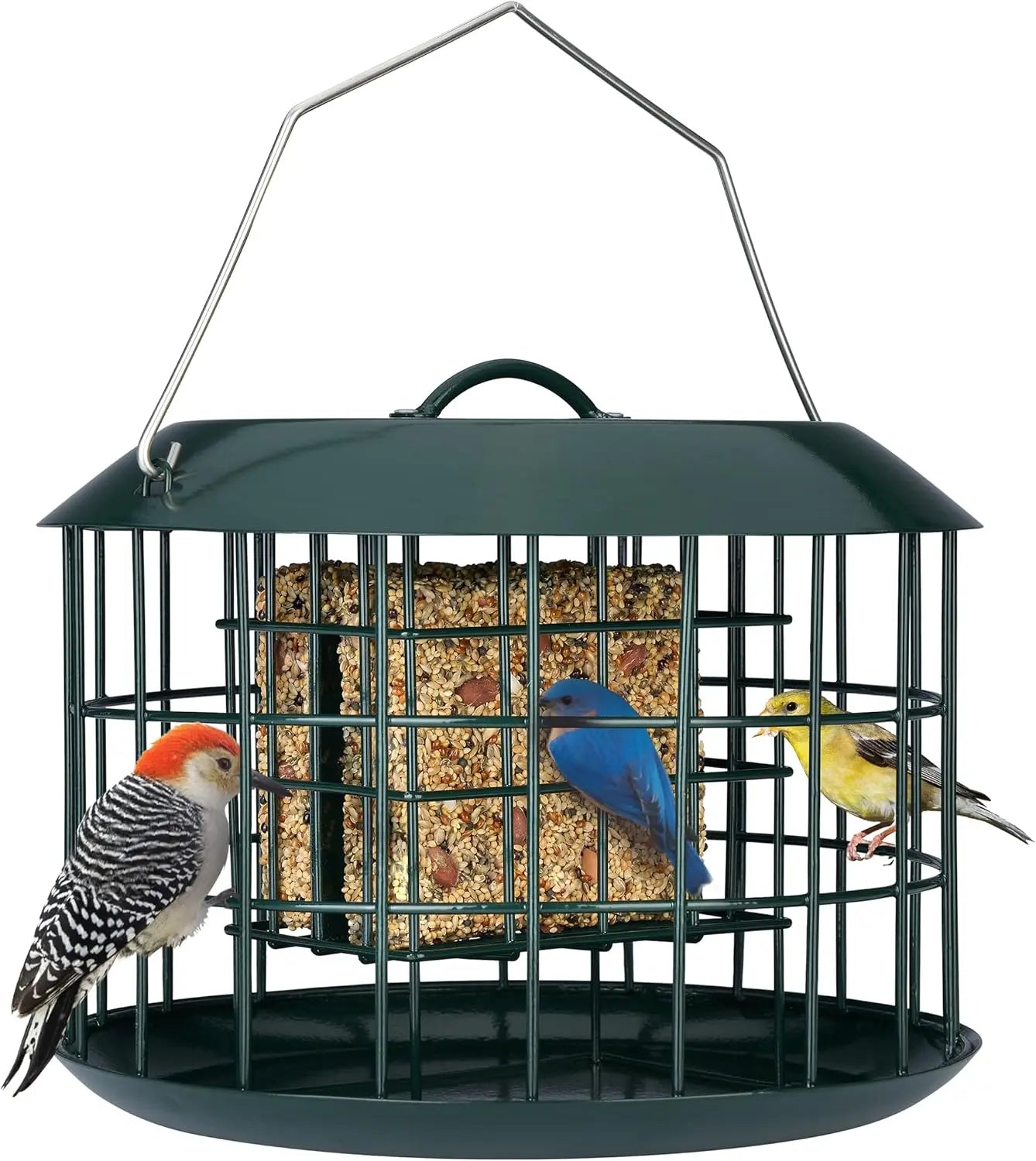 Squirrel Proof Suet Feeder