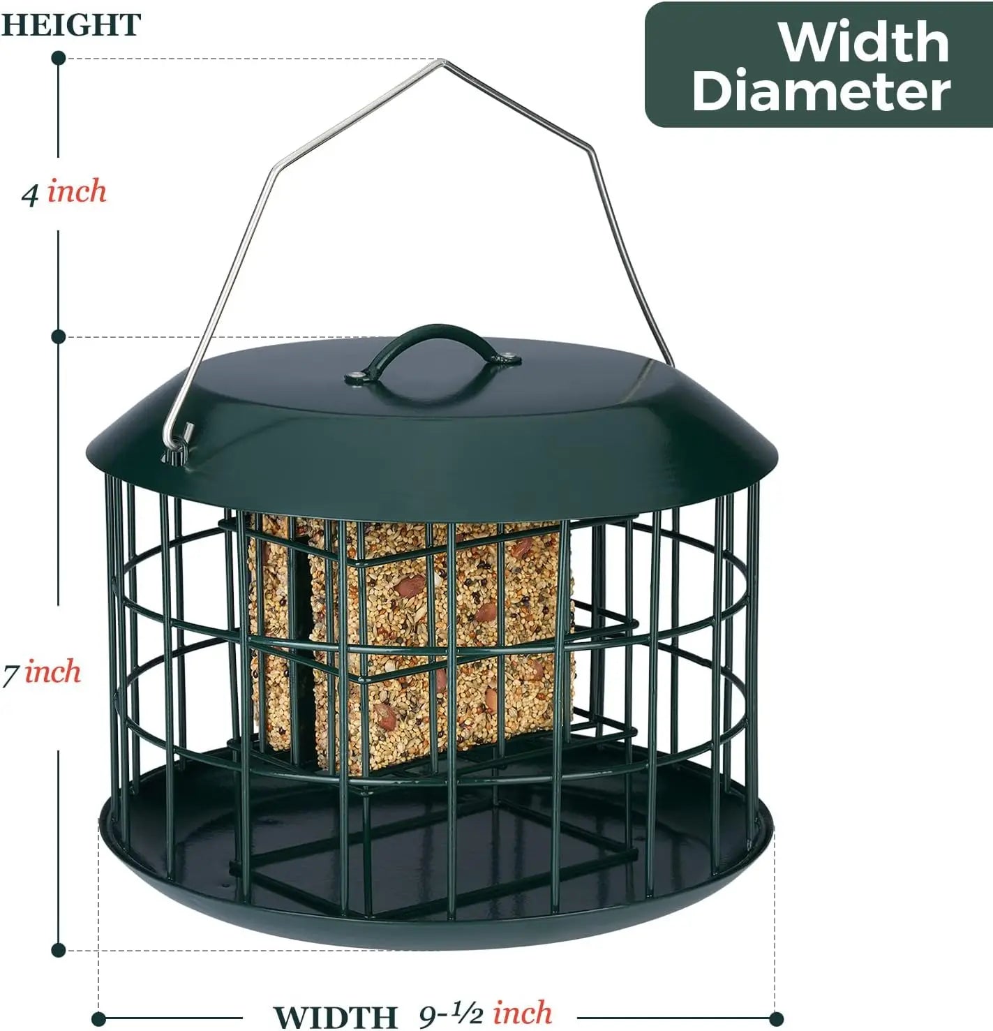 Squirrel Proof Suet Feeder