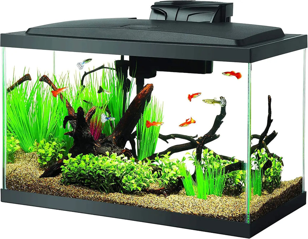 10 Gallon Fish Tank Starter Kit with LED Light, Filter, Heater & Accessories for Beginners