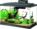 10 Gallon Fish Tank Starter Kit with LED Light, Filter, Heater & Accessories for Beginners