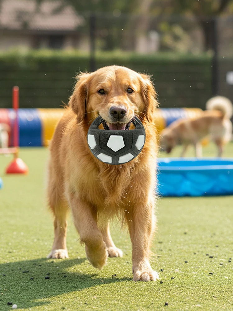Calming Ball with Handle