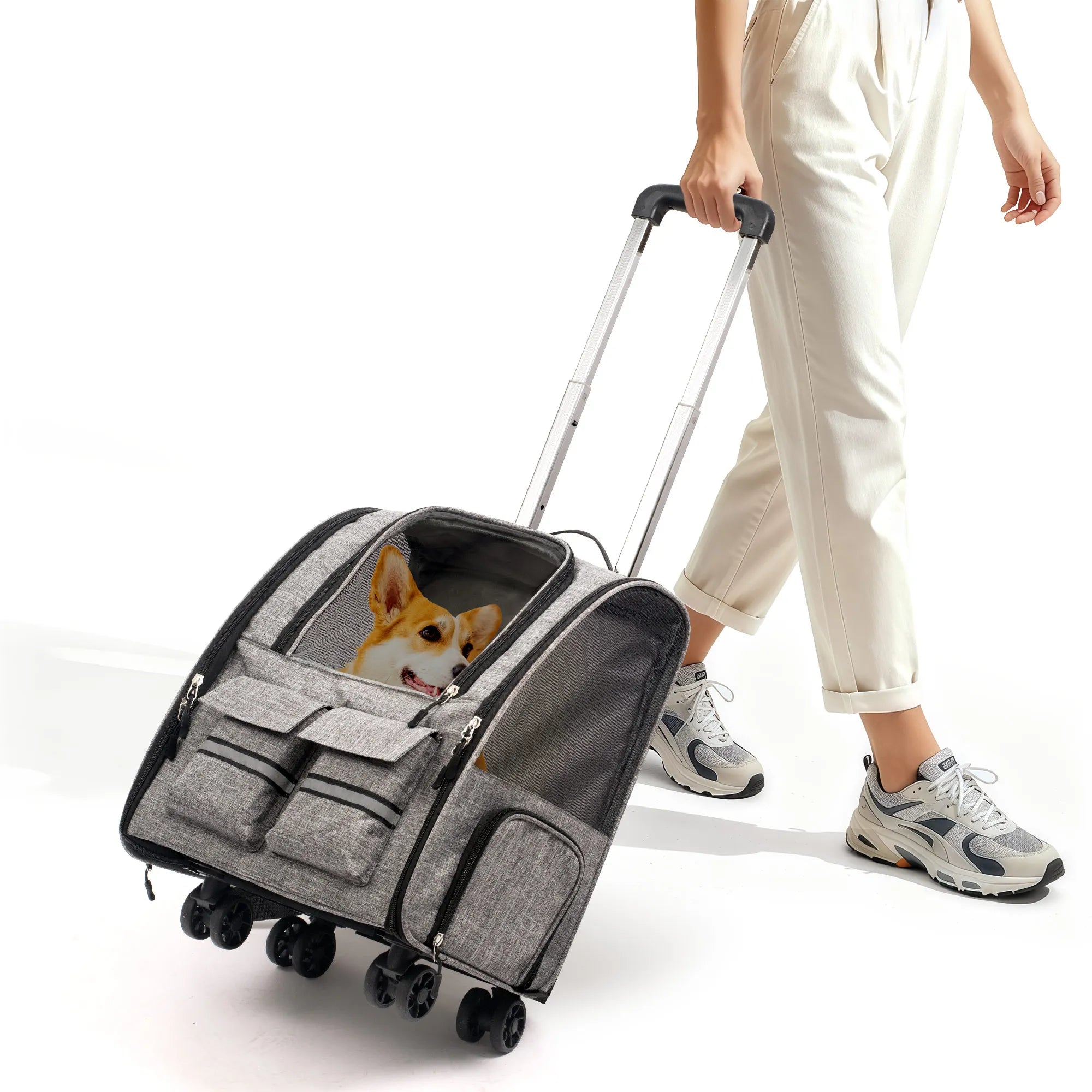 Rolling Pet Carrier