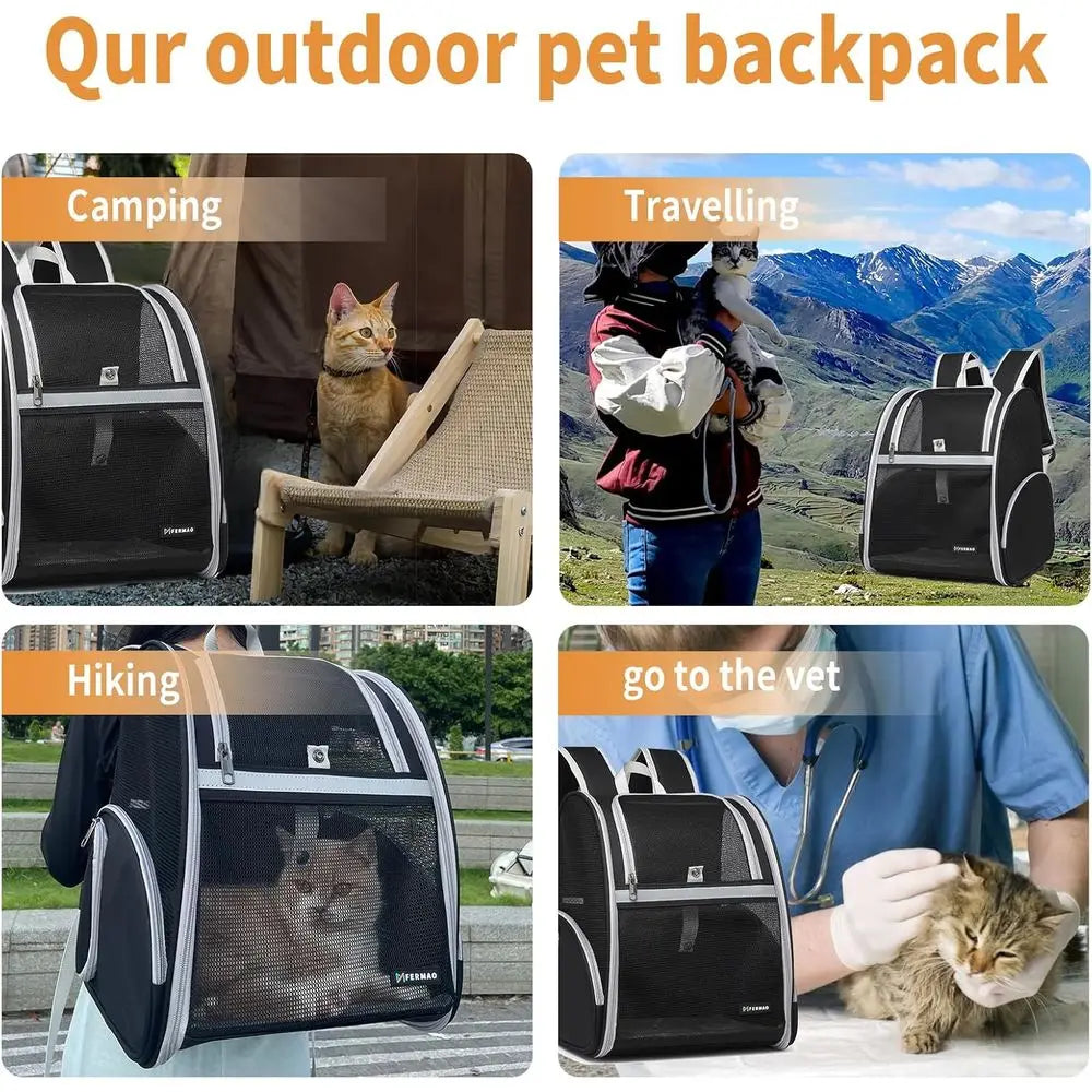 Collapsible Pet Backpack Carrier with Ventilated Mesh and Safety Leash