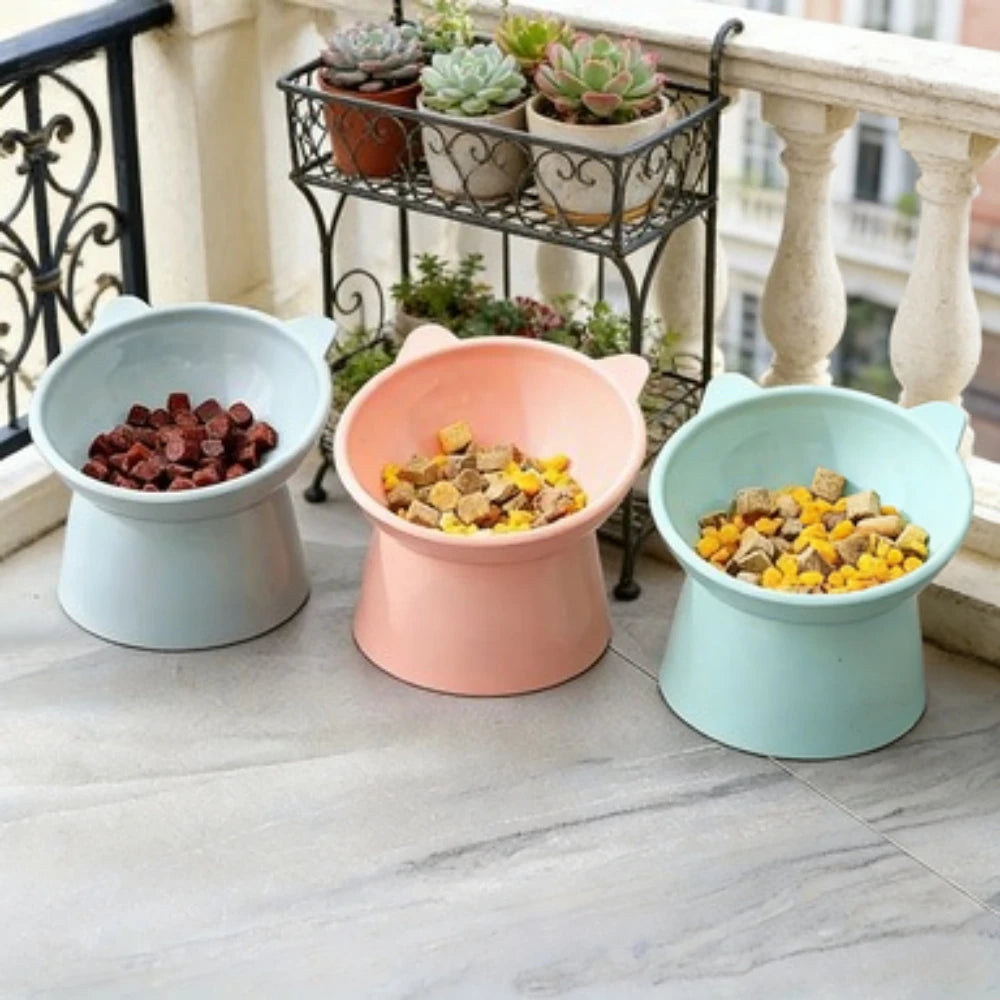 Raised Food Bowl
