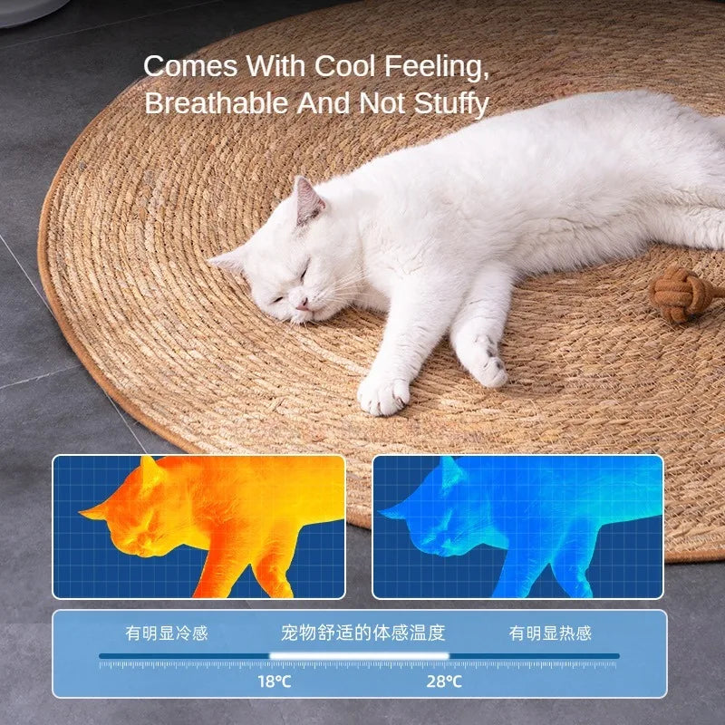 Cat Scratching Board Rattan Mat