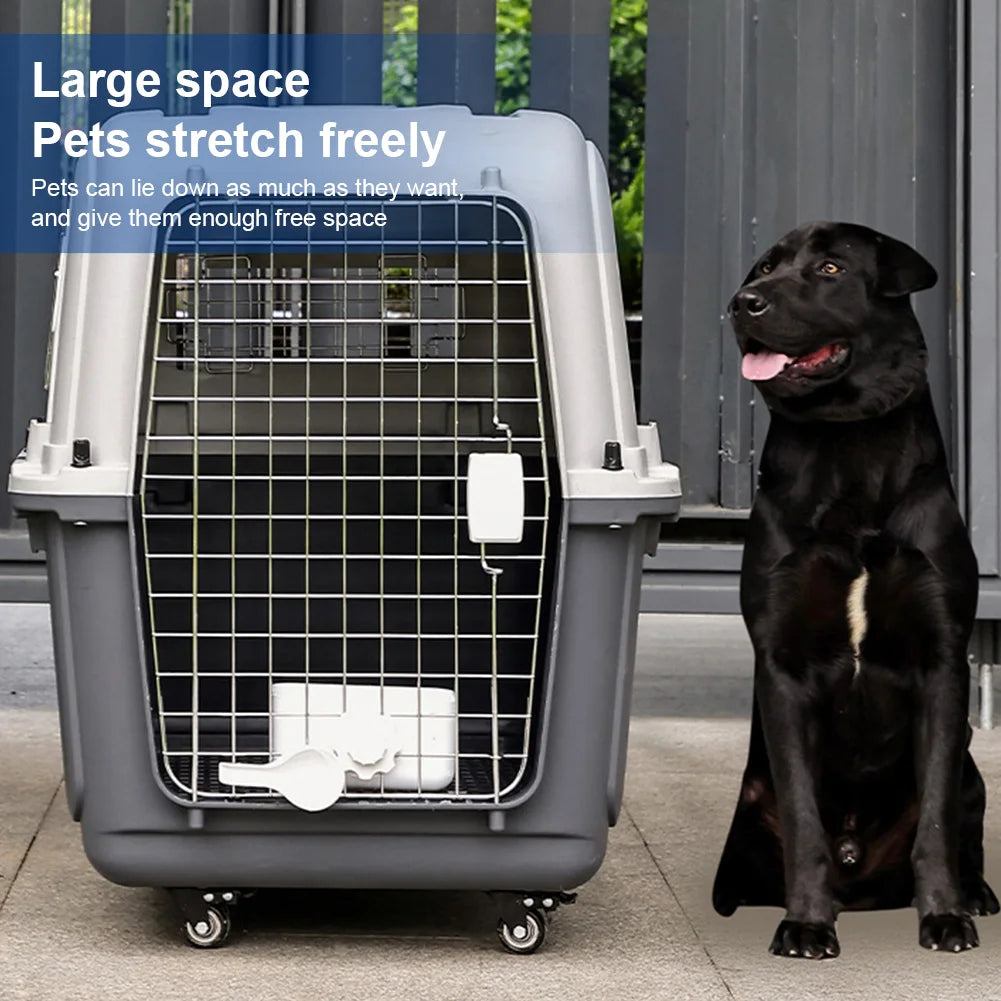 Airline-Friendly Pet Travel Cage