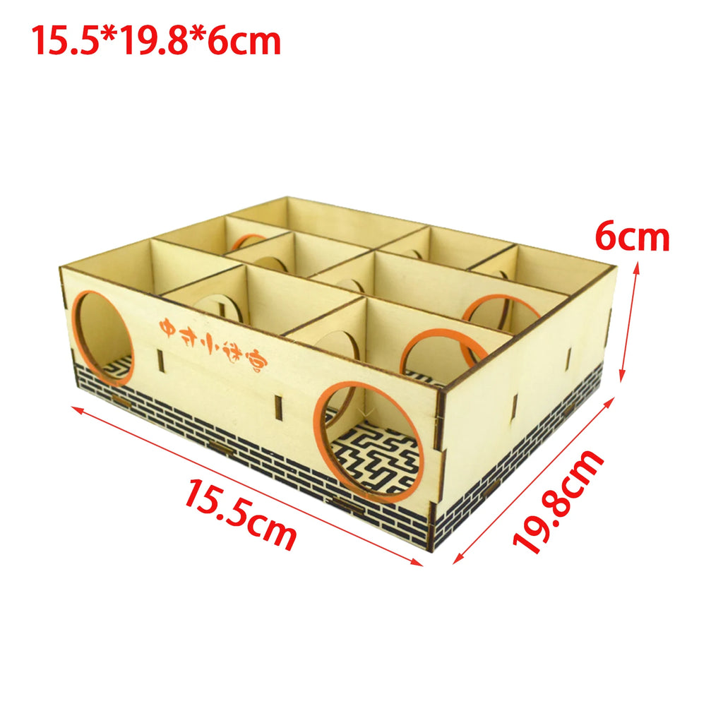 Wood Maze House Activity