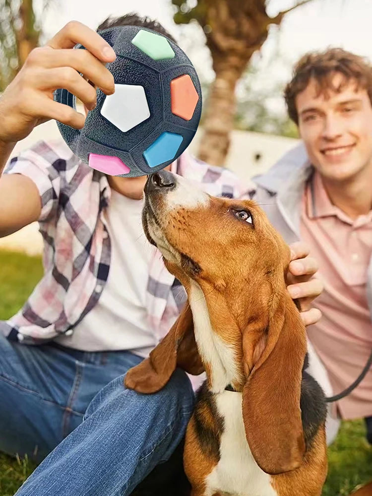Calming Ball with Handle