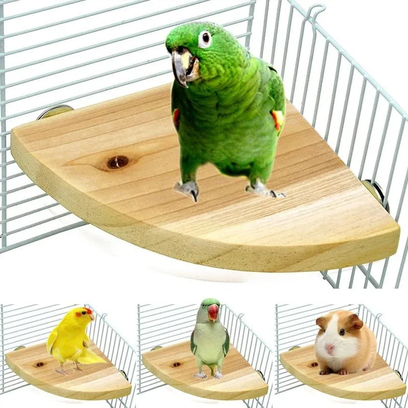 Bird Wood Perch Stand Platform