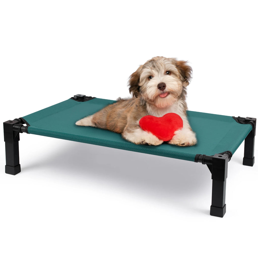 Elevated Dog Bed