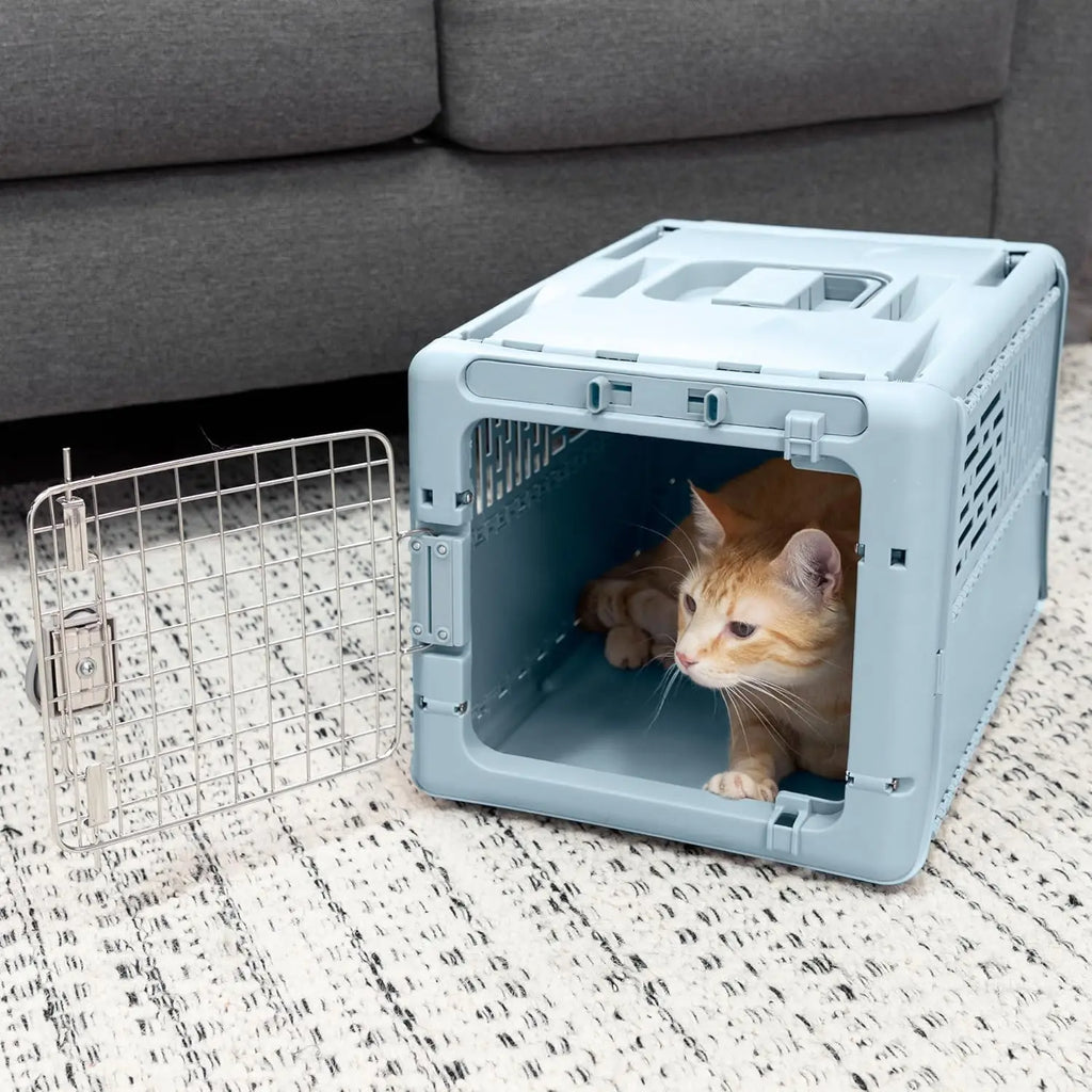 Collapsible Hard-Sided Pet Travel Carrier