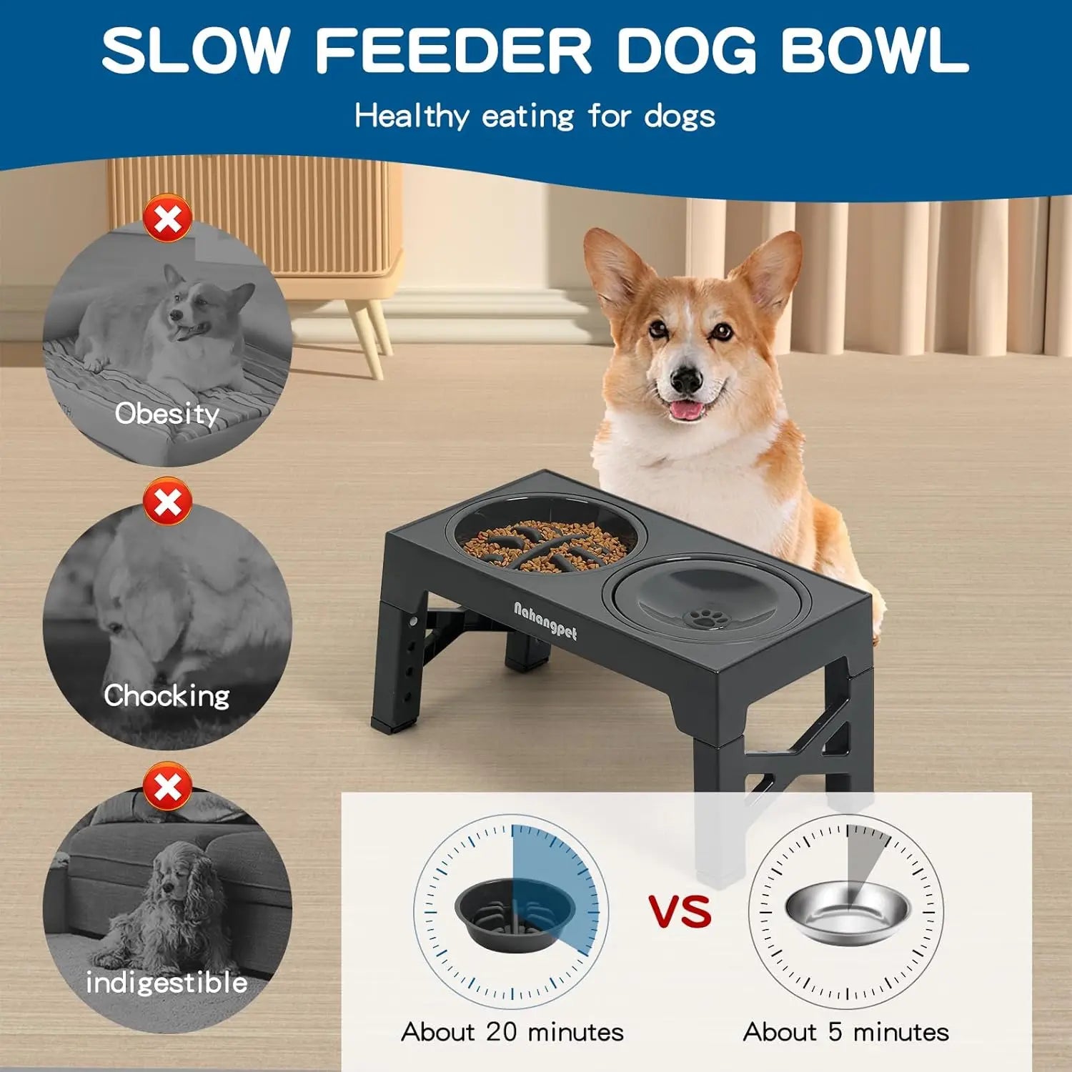 3-in-1 Elevated Slow Feeder Dog Bowls for Food and Water
