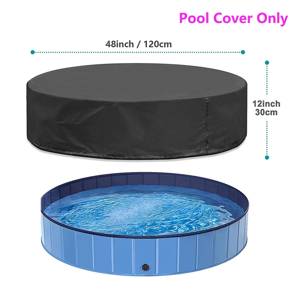 Dog Swimming Pool