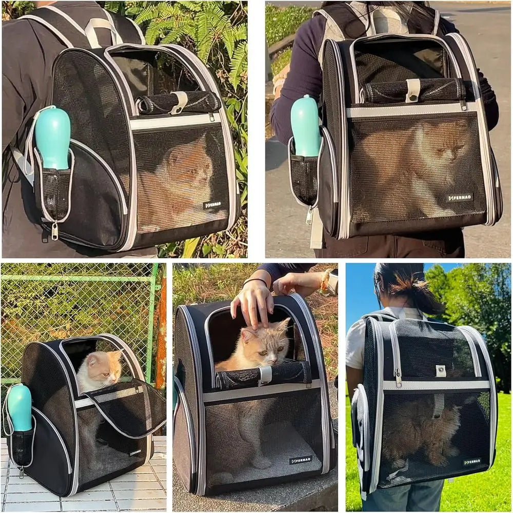 Collapsible Pet Backpack Carrier with Ventilated Mesh and Safety Leash
