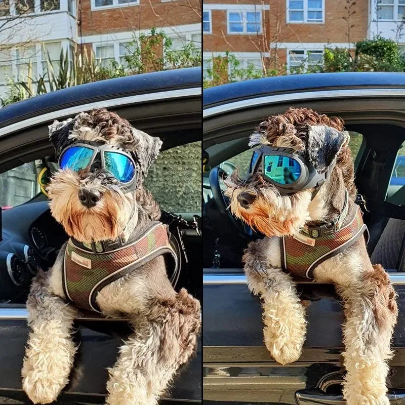 Pet Goggles UV Protection